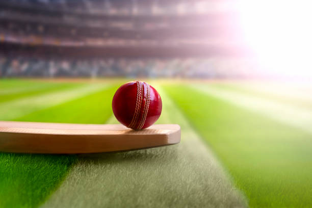 Cricket in popular culture: References in music, literature, and art